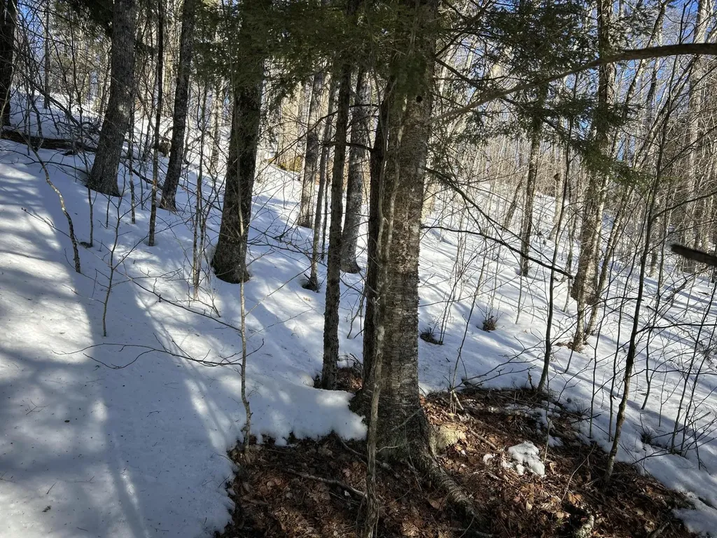 M7L31 Nelson Ridge Road N Washington ME 04574