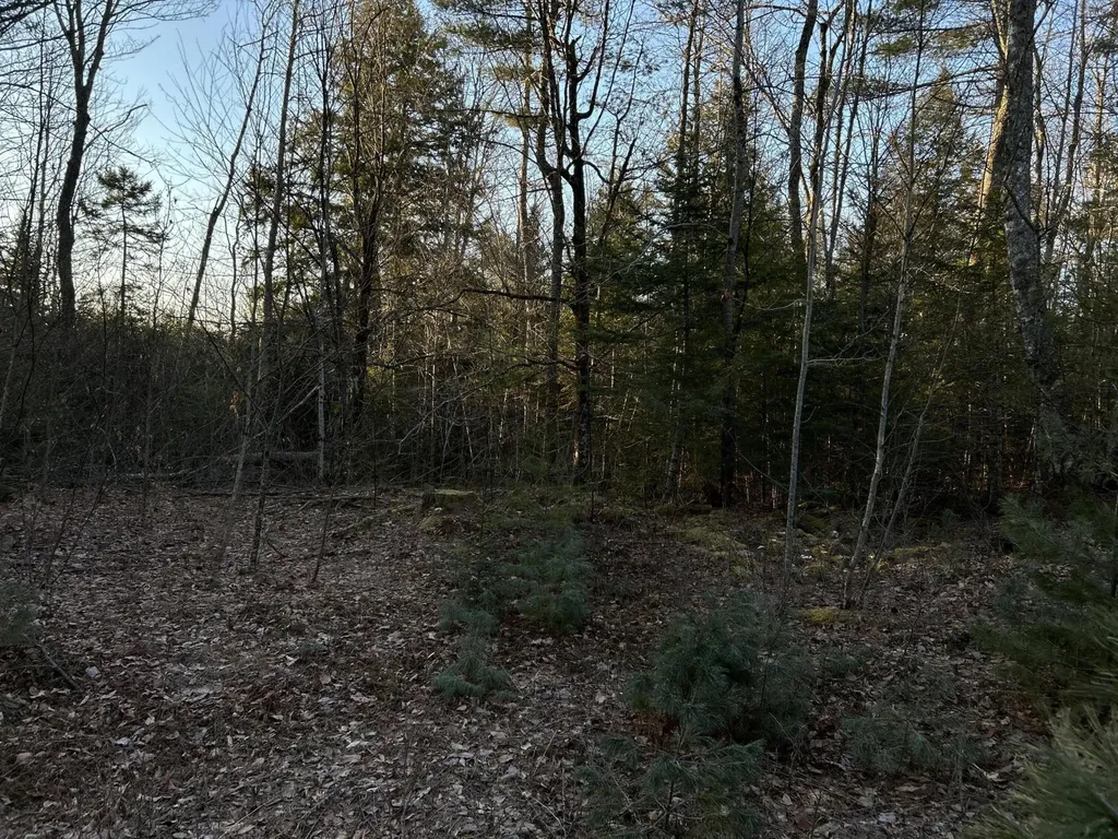 M7L31 Nelson Ridge Road N Washington ME 04574