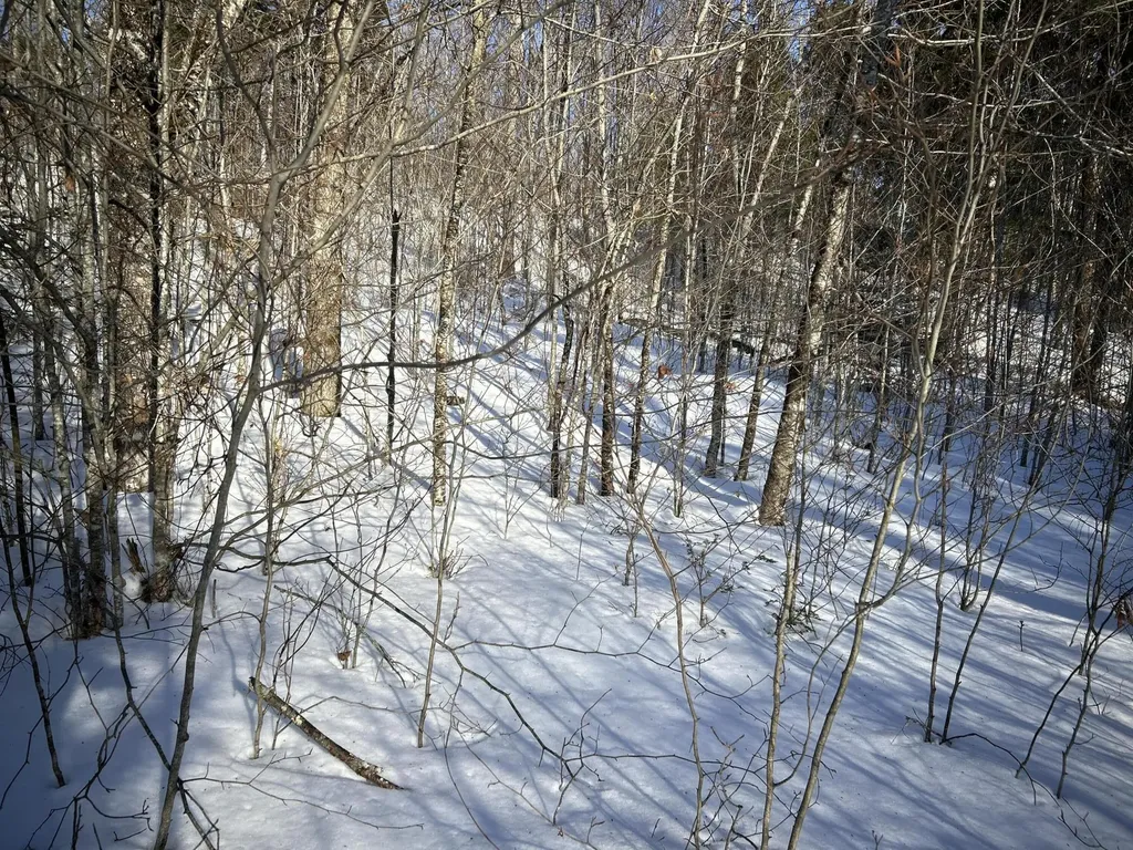 M7L31 Nelson Ridge Road N Washington ME 04574