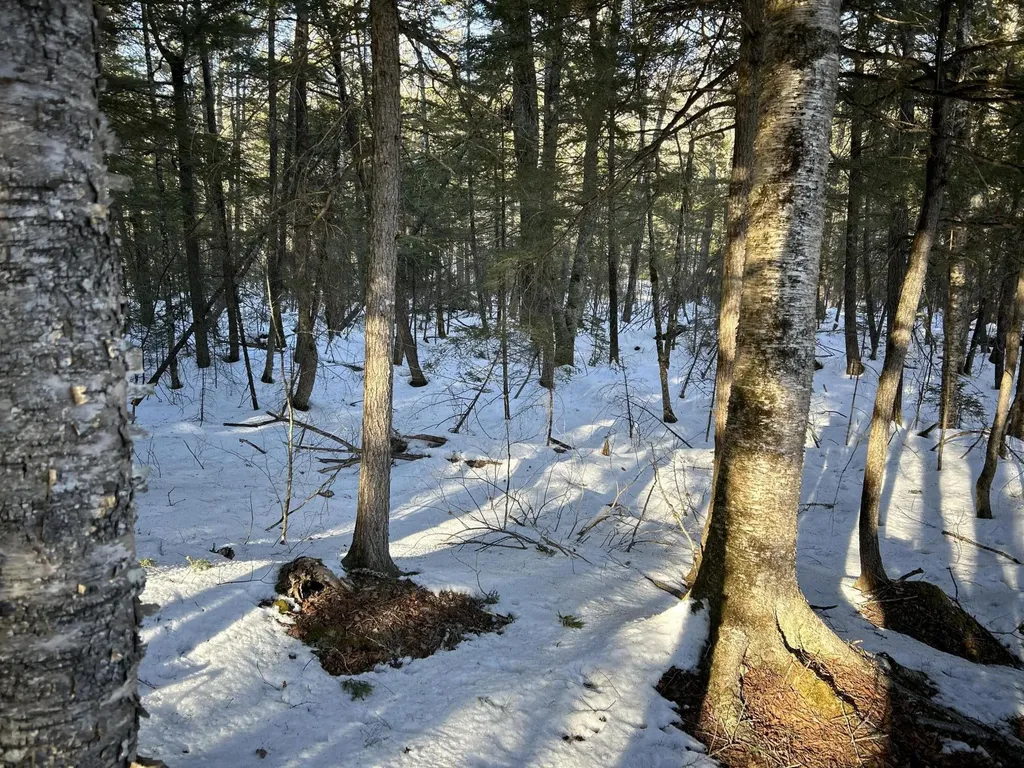M7L31 Nelson Ridge Road N Washington ME 04574