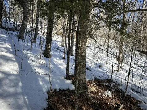 M7L31 Nelson Ridge Road N Washington ME 04574