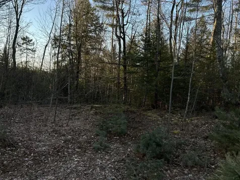 M7L31 Nelson Ridge Road N Washington ME 04574