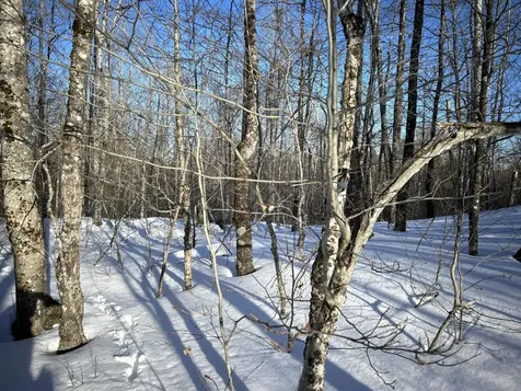 M7L31 Nelson Ridge Road N Washington ME 04574