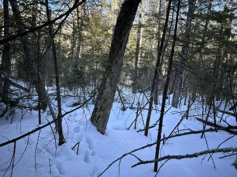 M7L31 Nelson Ridge Road N Washington ME 04574