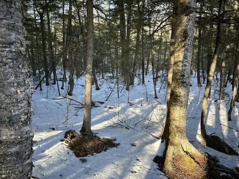 M7L31 Nelson Ridge Road N Washington ME 04574