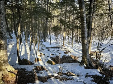 M7L31 Nelson Ridge Road N Washington ME 04574