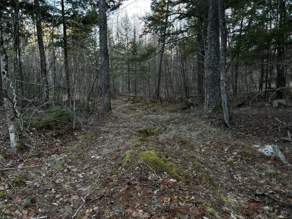 M7L22 Nelson Ridge Road N Washington ME 04574