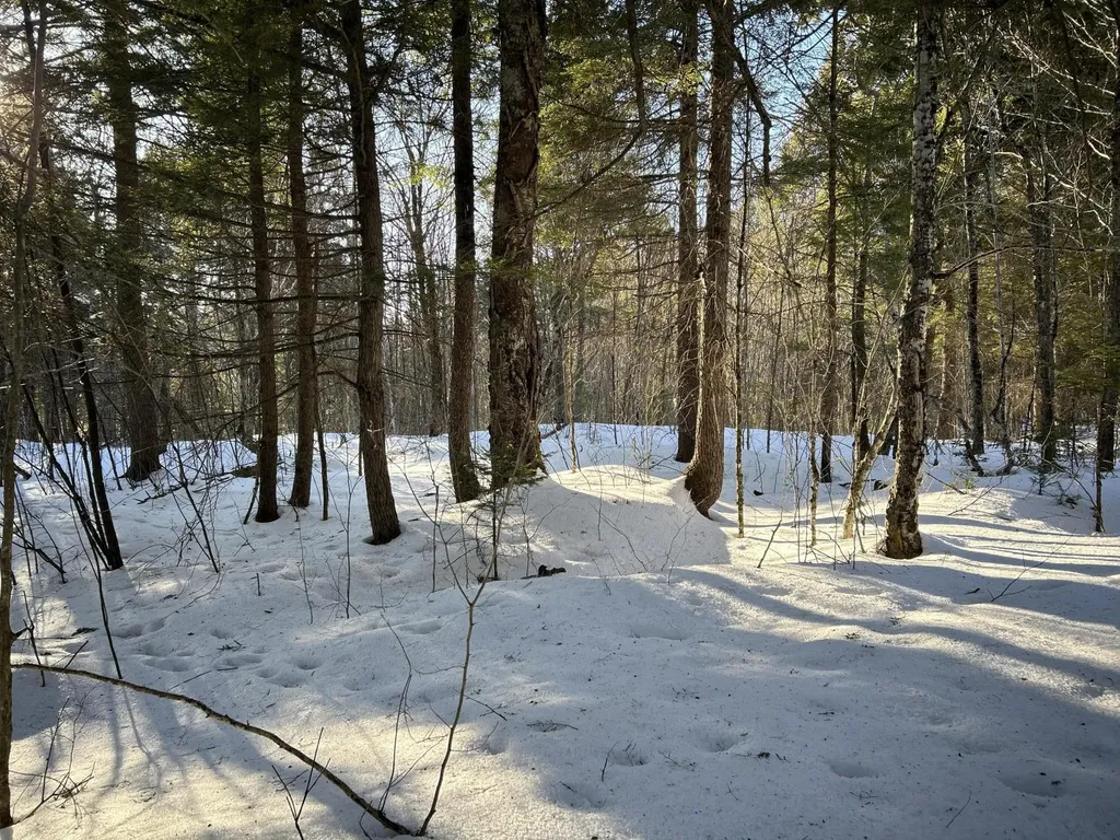 M7L22 Nelson Ridge Road N Washington ME 04574