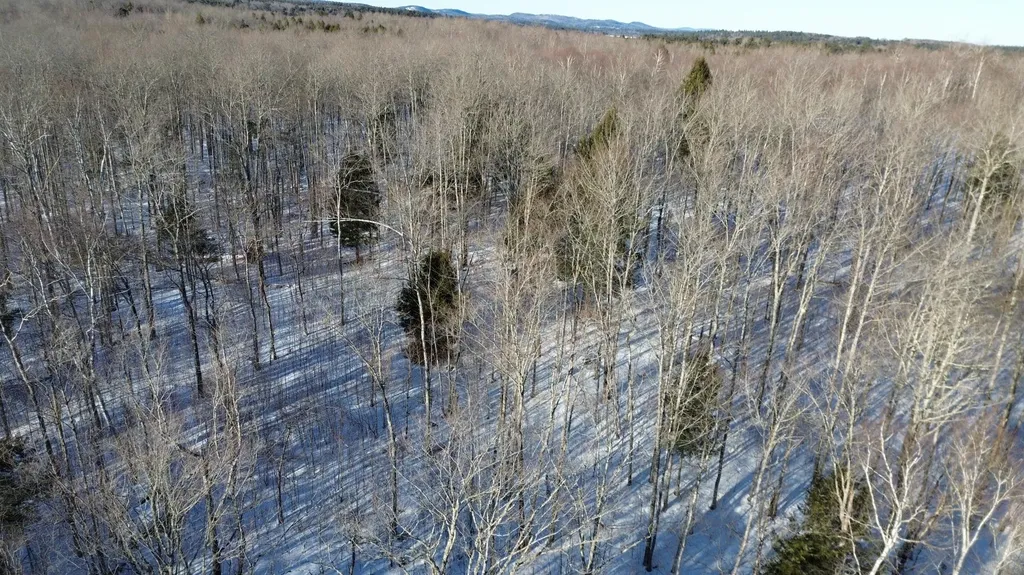M7L22 Nelson Ridge Road N Washington ME 04574