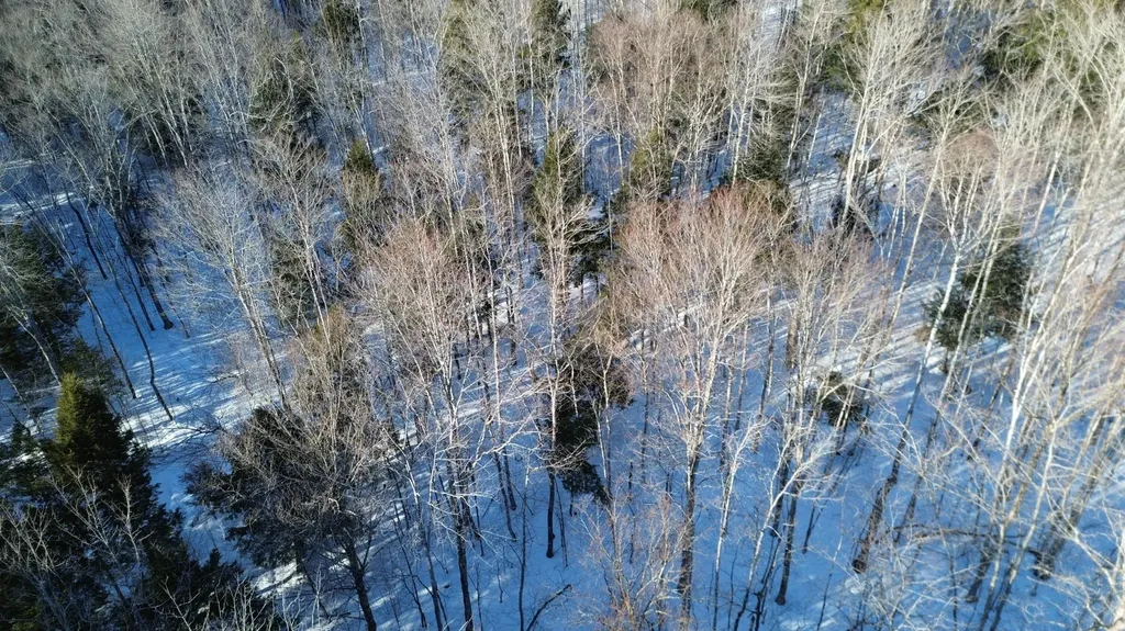 M7L22 Nelson Ridge Road N Washington ME 04574