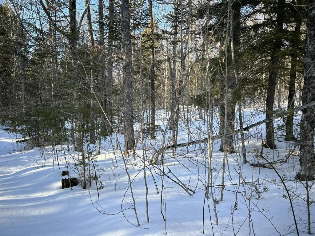 M7L22 Nelson Ridge Road N Washington ME 04574