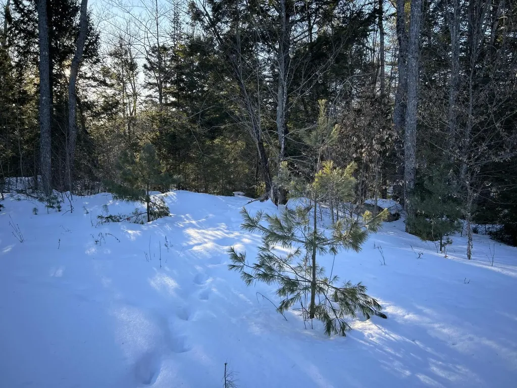 M7L22 Nelson Ridge Road N Washington ME 04574