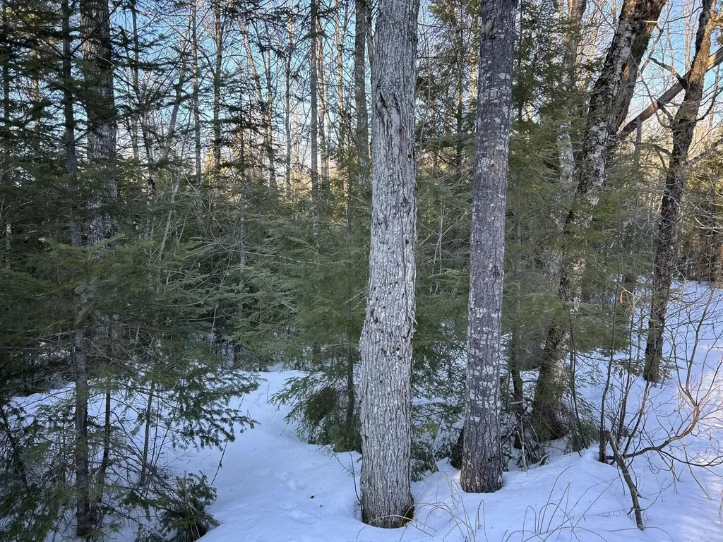 M7L22 Nelson Ridge Road N Washington ME 04574