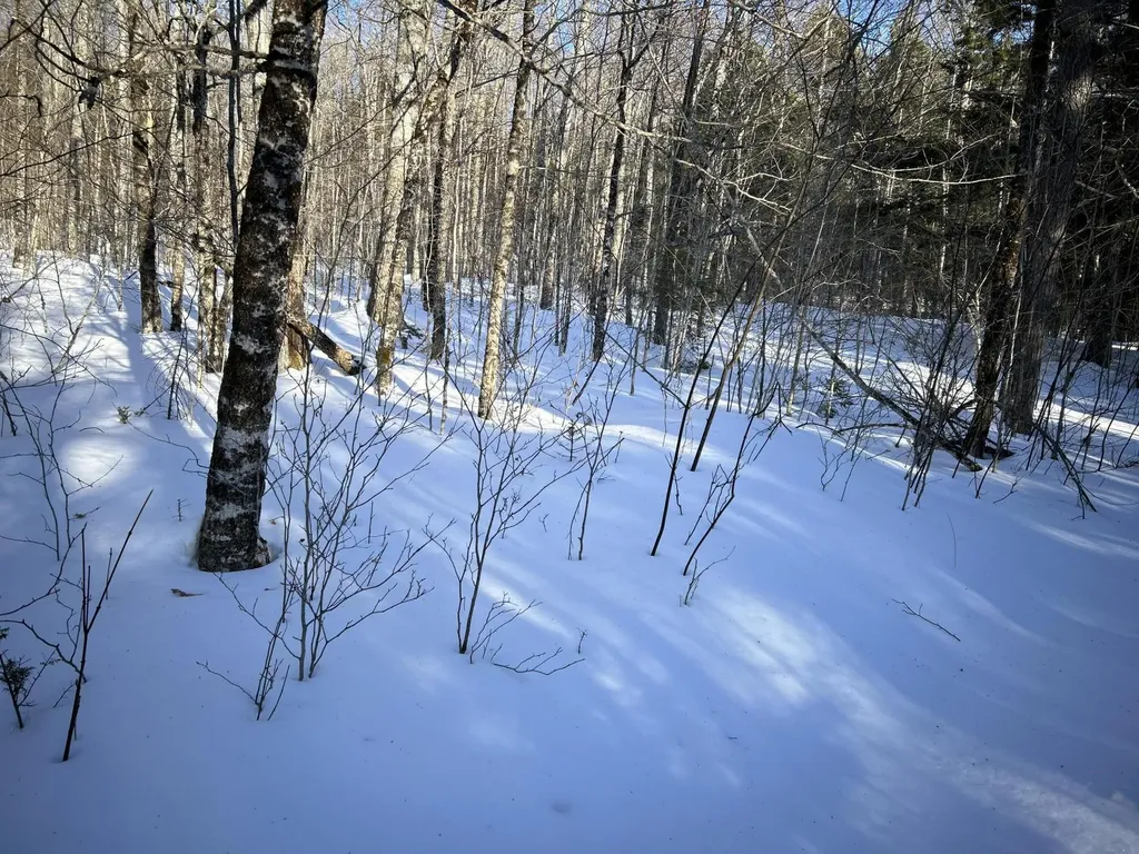 M7L22 Nelson Ridge Road N Washington ME 04574