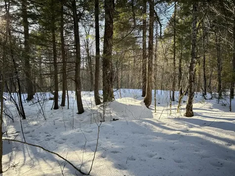 M7L22 Nelson Ridge Road N Washington ME 04574