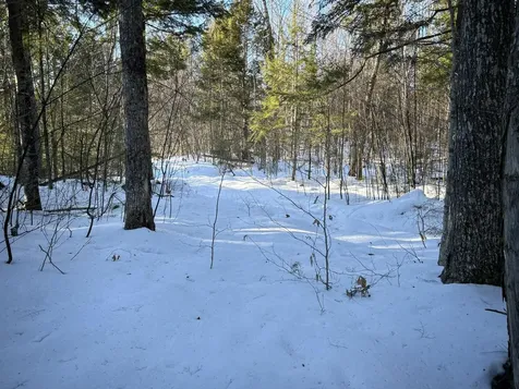 M7L22 Nelson Ridge Road N Washington ME 04574
