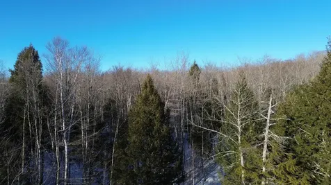 M7L22 Nelson Ridge Road N Washington ME 04574