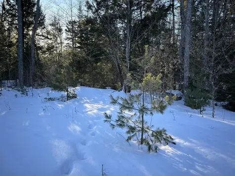 M7L22 Nelson Ridge Road N Washington ME 04574