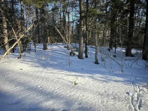M7L22 Nelson Ridge Road N Washington ME 04574