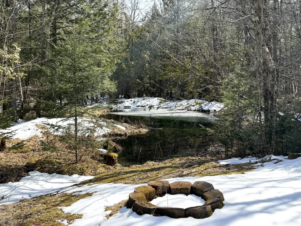 9 Grant Drive Dover-foxcroft ME 04426