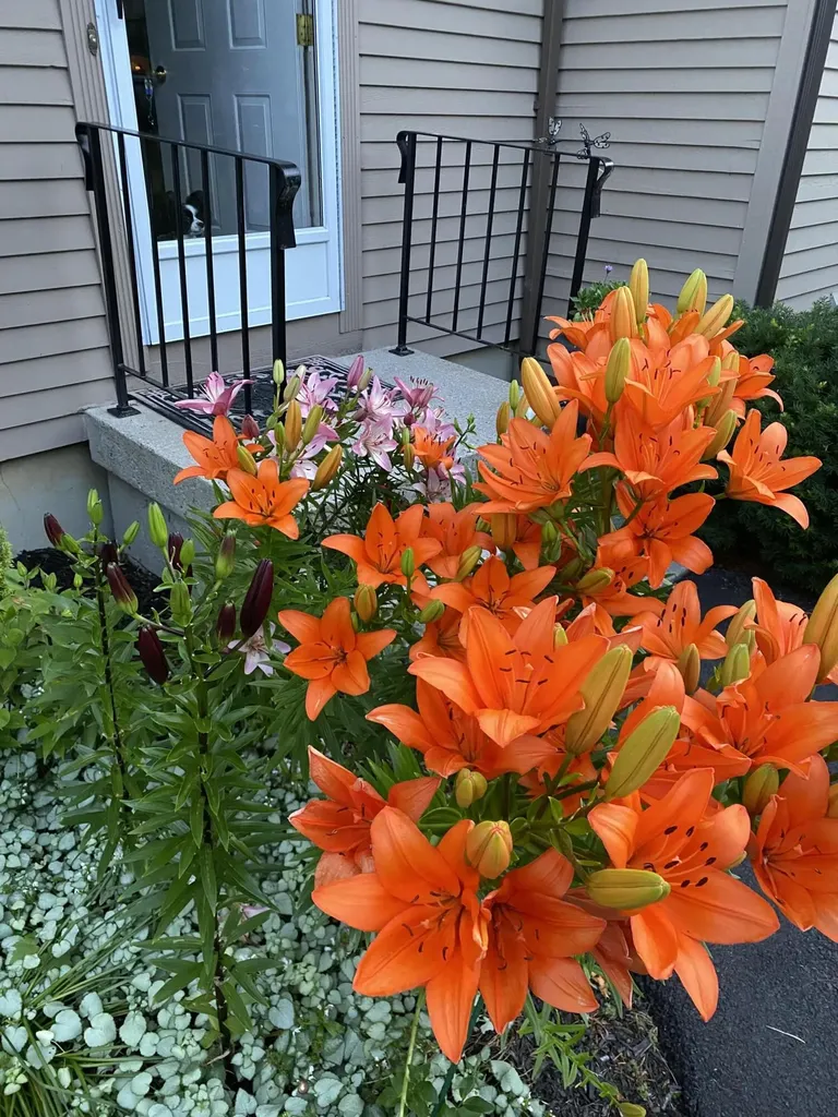 104 Evergreen Drive Waterville ME 04901