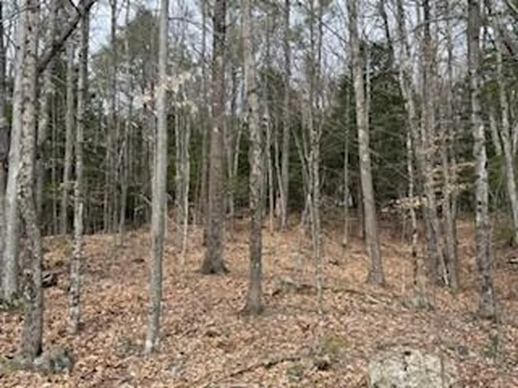 197 Franklin Road Jay ME 04239