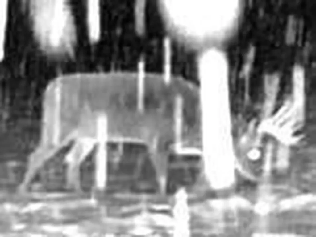 465 Powers Road Pittsfield ME 04967
