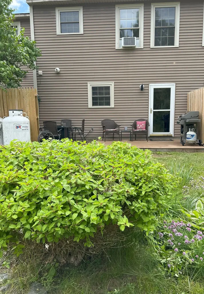 1016 State Street Bangor ME 04401
