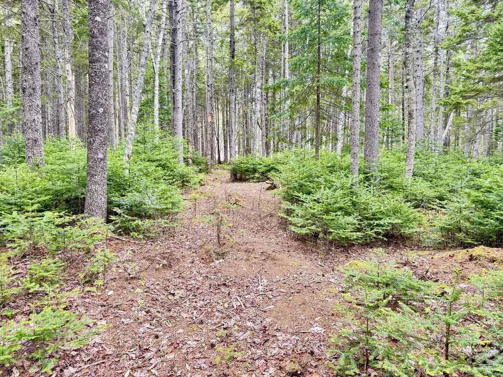Lot 6 Floyds Way Steuben ME 04680