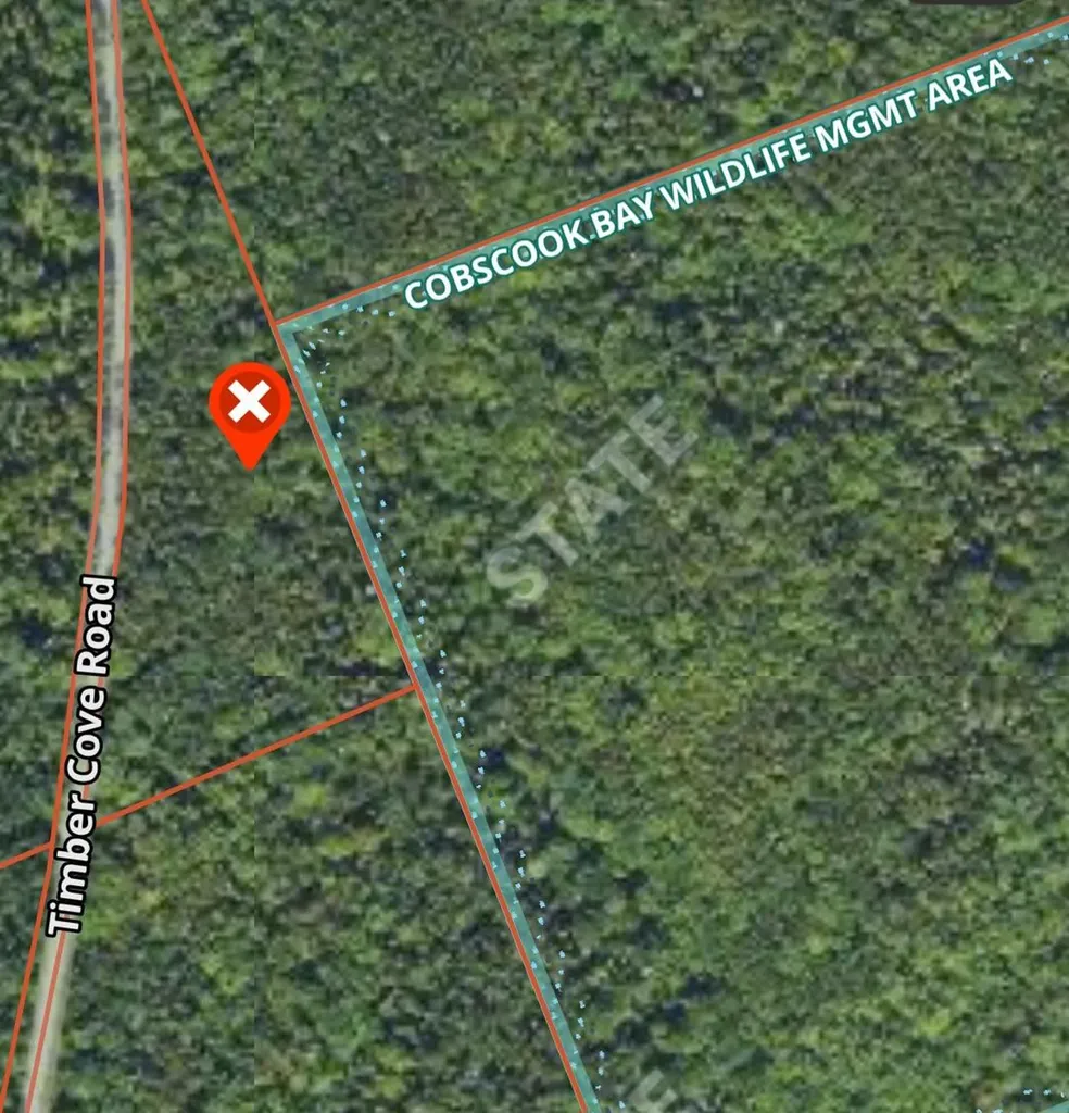 WA032 01 4 Timber Cove Road Trescott Twp ME 04652
