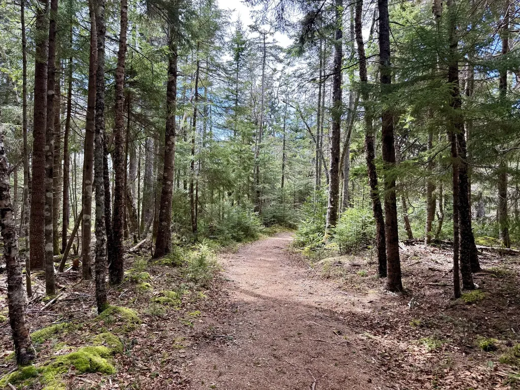 Lot 15 Collins Cove Road Machiasport ME 04655