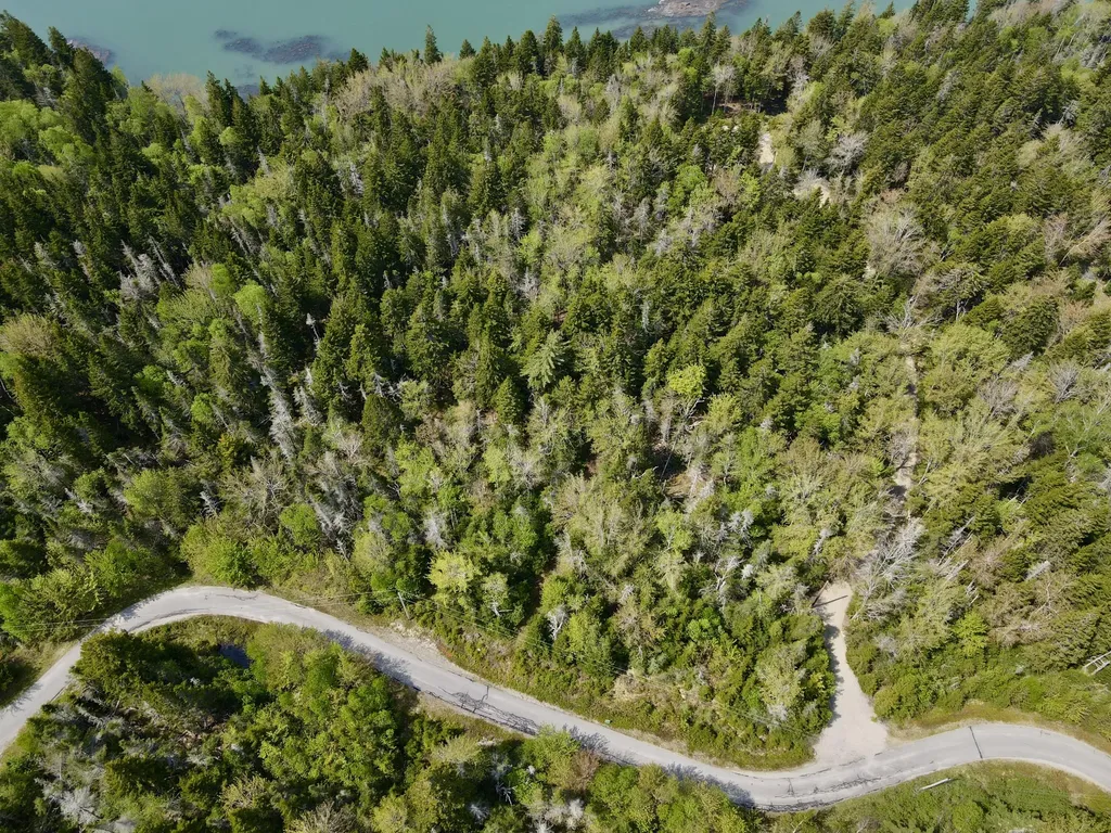 Lot 15 Collins Cove Road Machiasport ME 04655