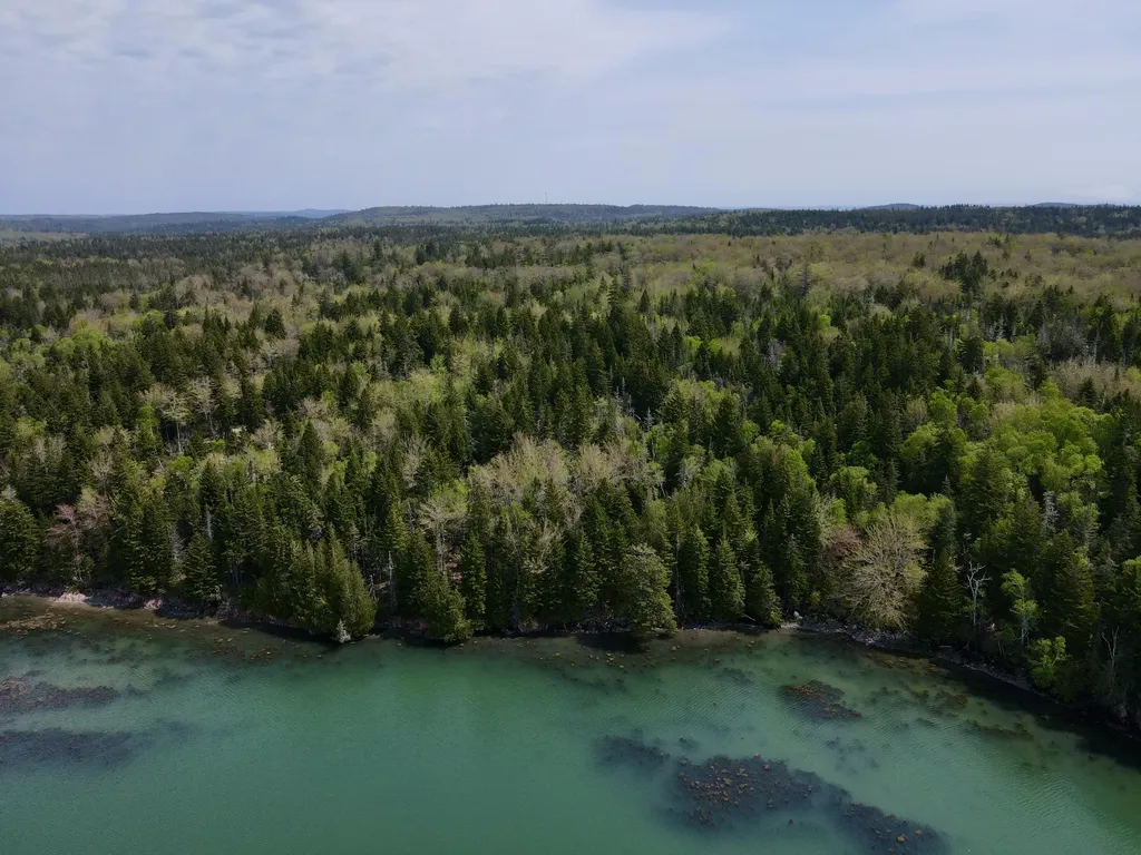 Lot 15 Collins Cove Road Machiasport ME 04655