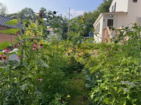 164 Lincoln Street Old Town ME 04468