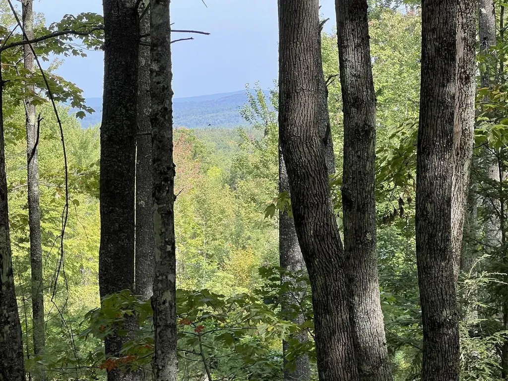 3-2 Summit Hill Road Harrison ME 04040