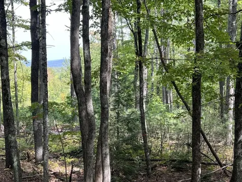 3-2 Summit Hill Road Harrison ME 04040