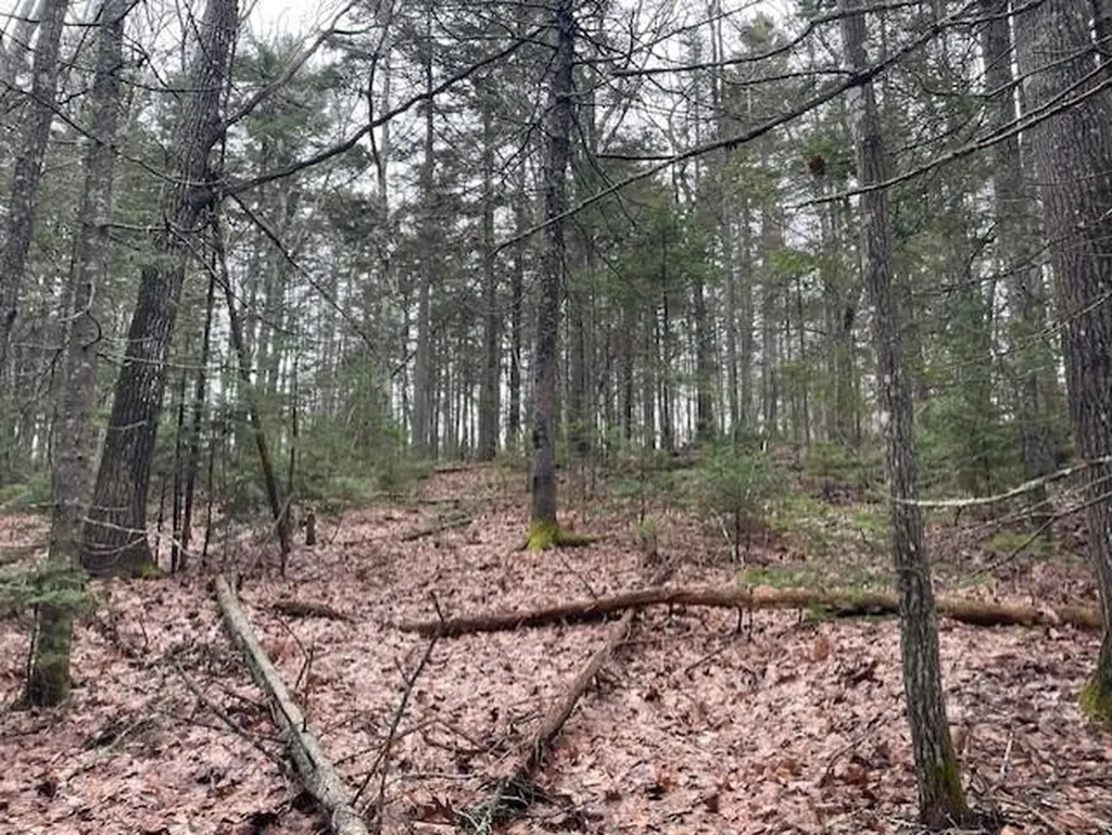 407 Waldoboro Road Friendship ME 04547