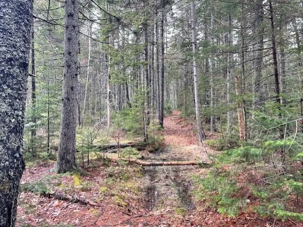 407 Waldoboro Road Friendship ME 04547