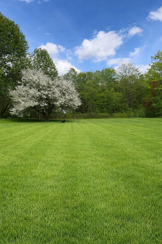 1655 River Road Clinton ME 04927