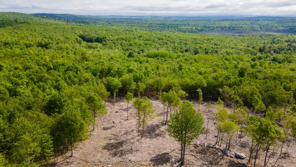 Lot 21 Grand View Drive Dedham ME 04429