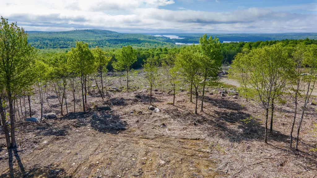 Lot 21 Grand View Drive Dedham ME 04429