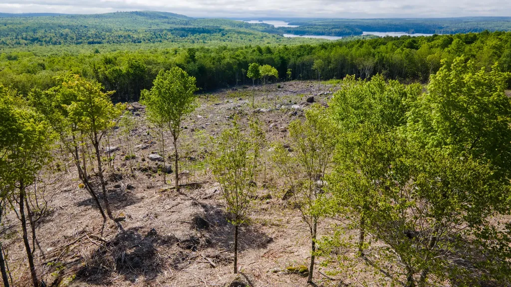 Lot 21 Grand View Drive Dedham ME 04429