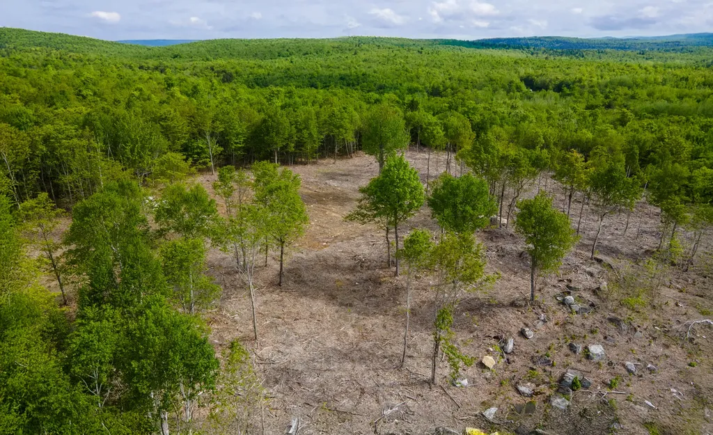 Lot 21 Grand View Drive Dedham ME 04429