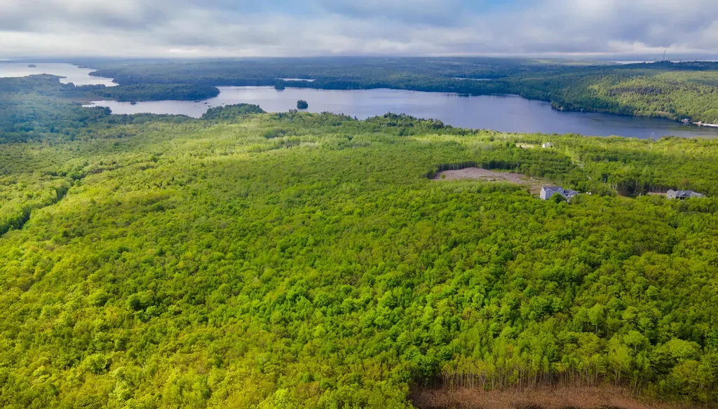 Lot 21 Grand View Drive Dedham ME 04429