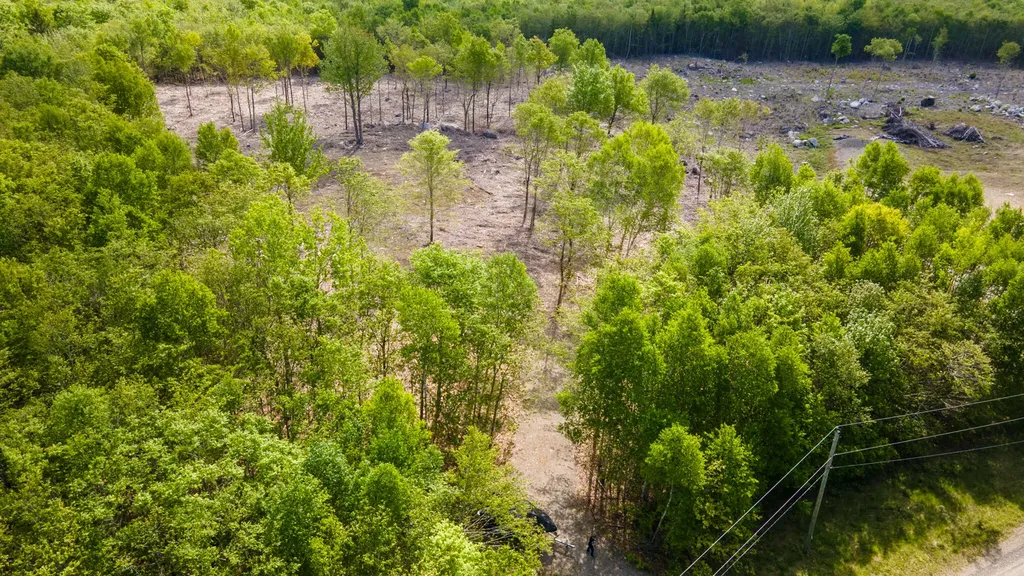 Lot 21 Grand View Drive Dedham ME 04429