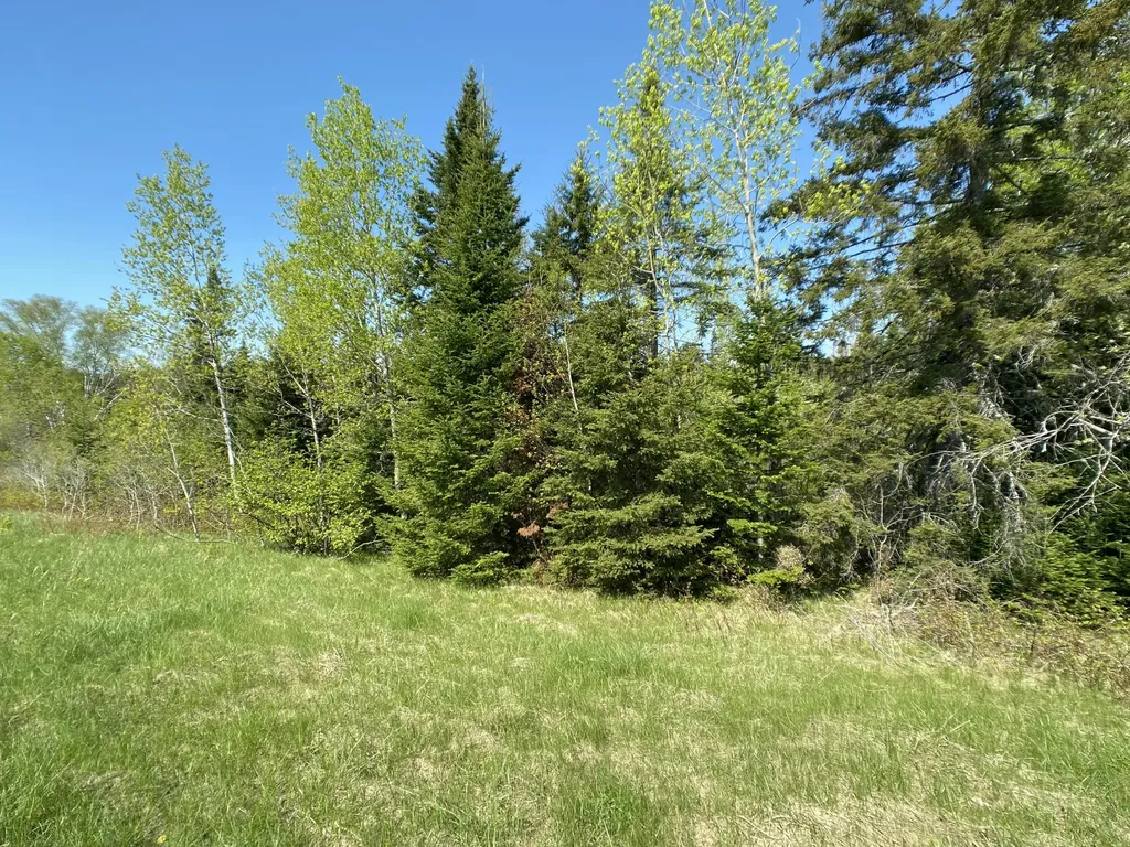 4-31 Caribou Road Cyr Plt ME 04785