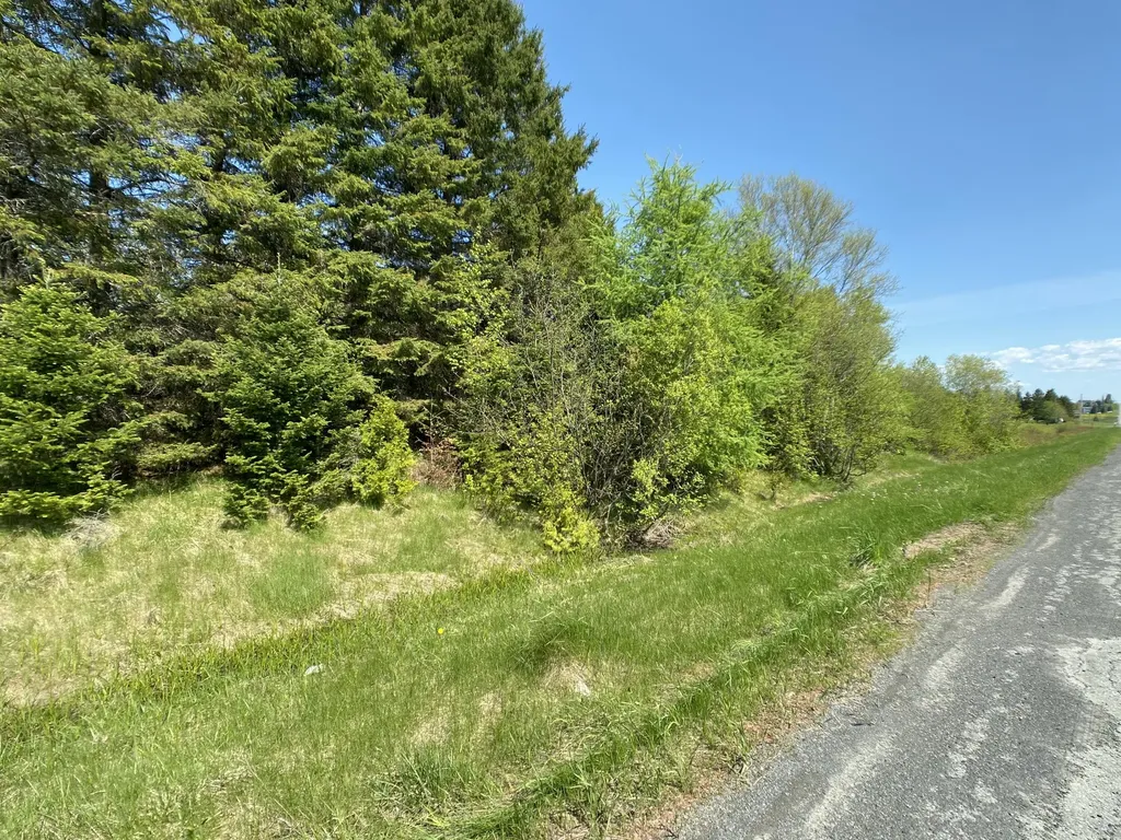 4-31 Caribou Road Cyr Plt ME 04785