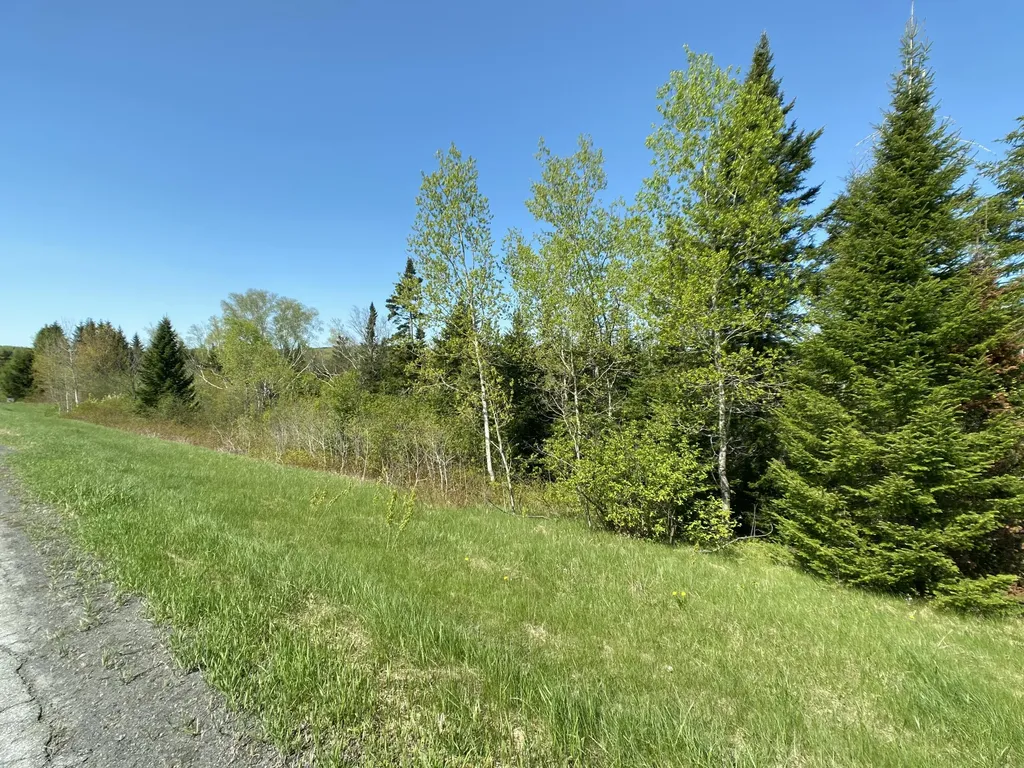 4-31 Caribou Road Cyr Plt ME 04785