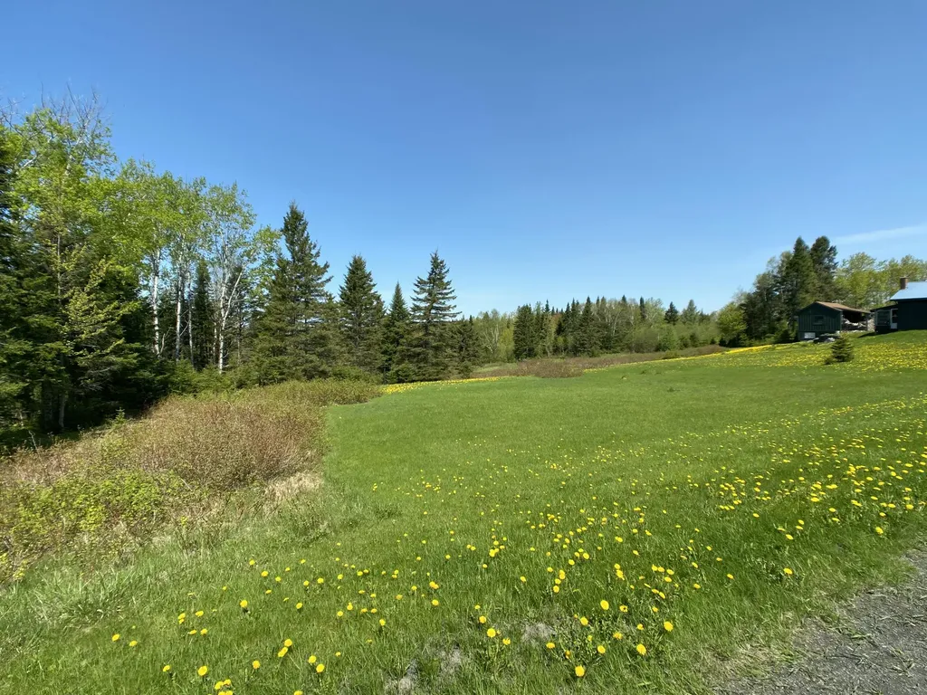 4-31 Caribou Road Cyr Plt ME 04785