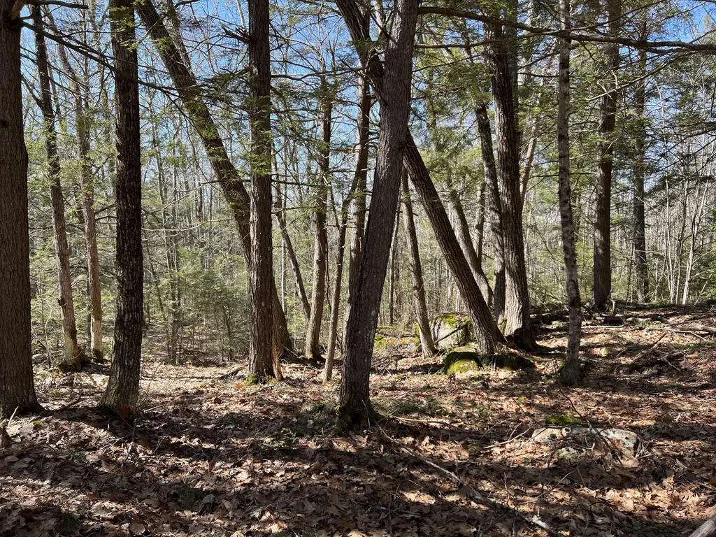 LOT#009-02 Powderhorn Road Jefferson ME 04348